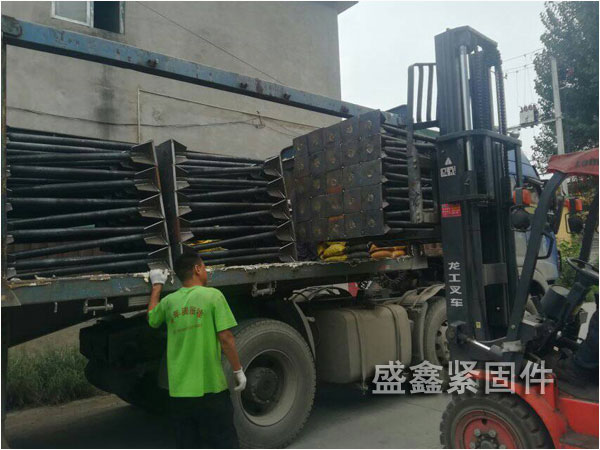 ��Ƶ����